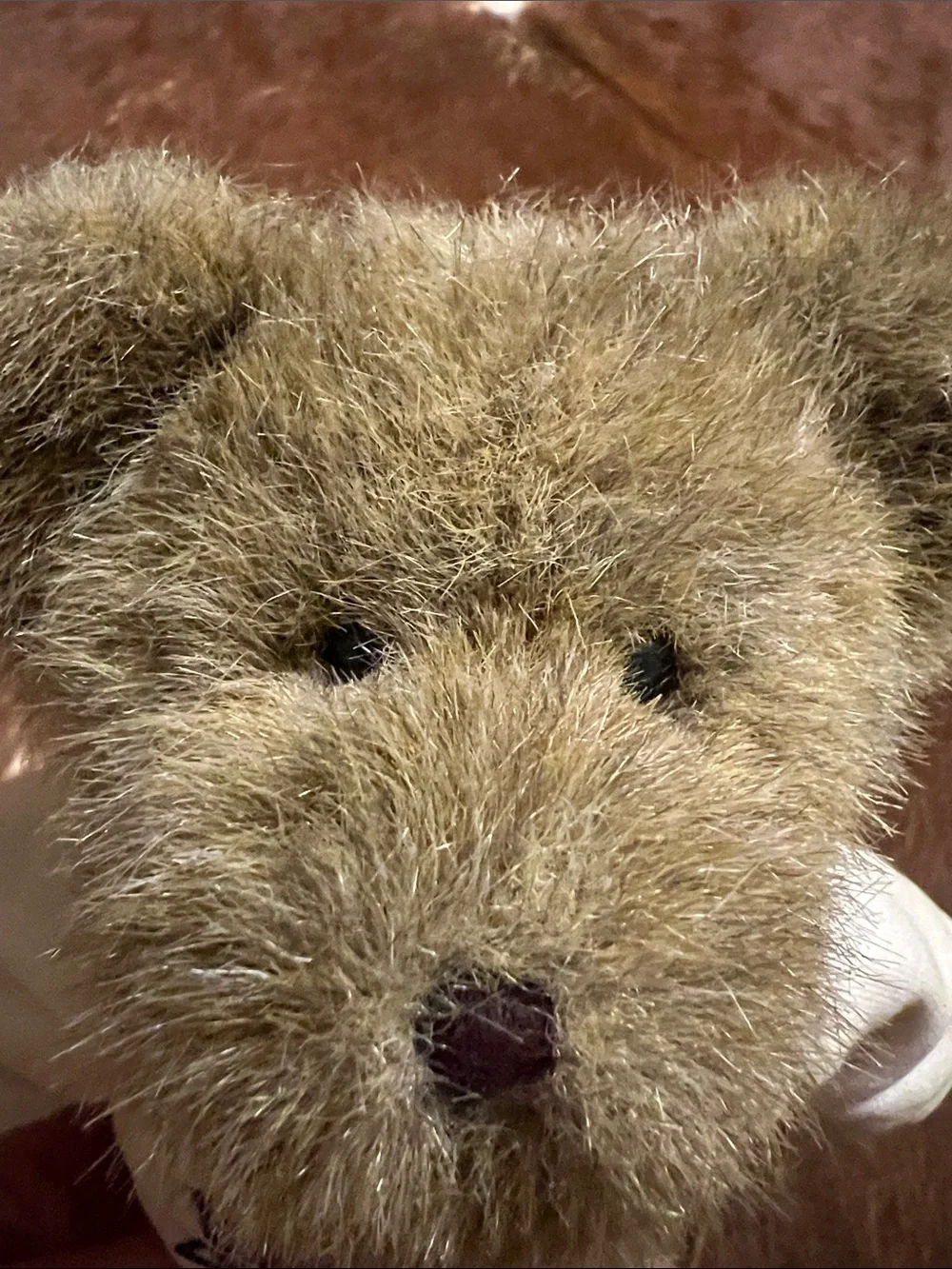Boyds Bears Brown Plush Teddy in White SMS Sweatshirt